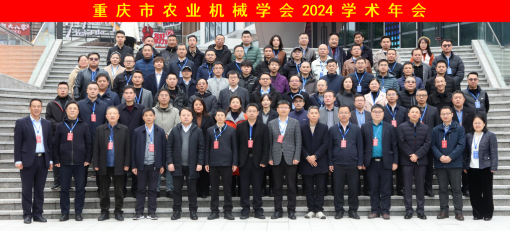 图片8