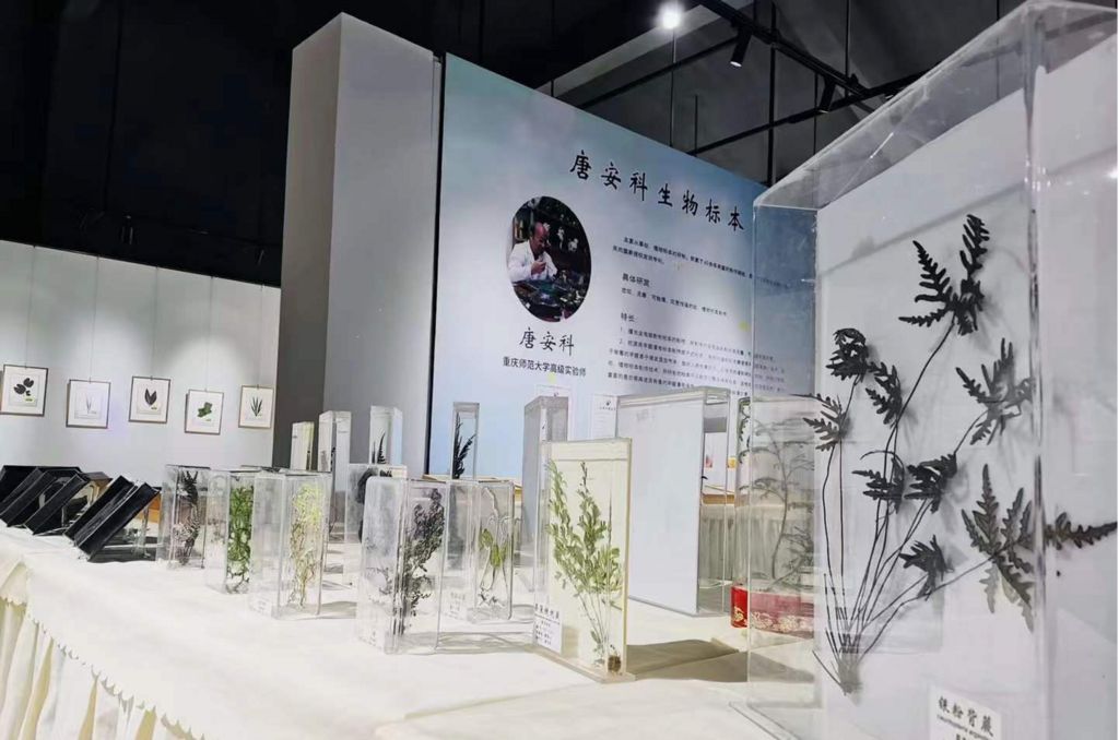 图片1