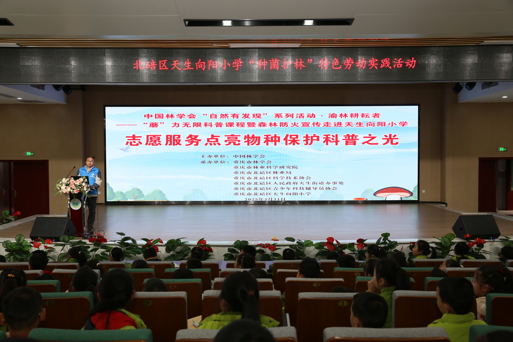 活动图片 (1)