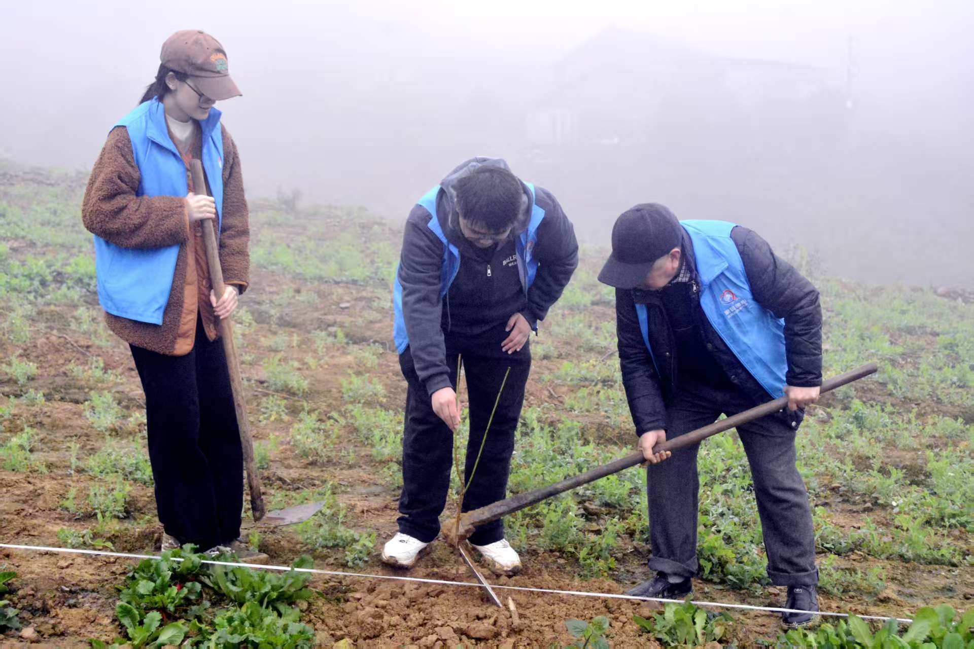 d9b4470c56e74066b9d9faa1086430ea