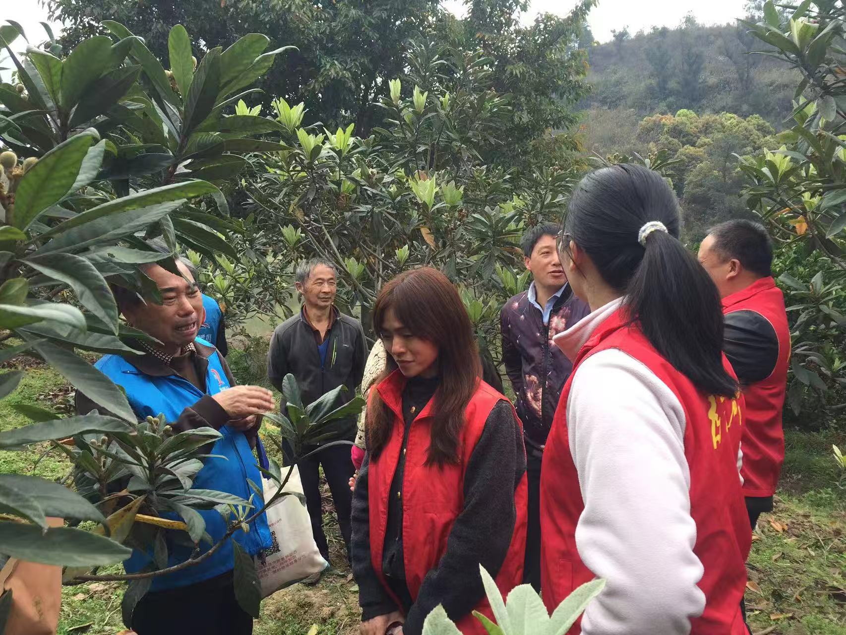 2da71954ca7efe90e0cec225cd65e417