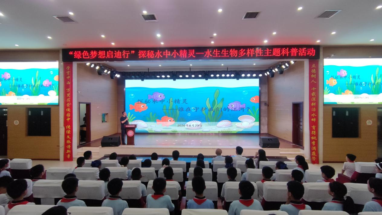 图片5