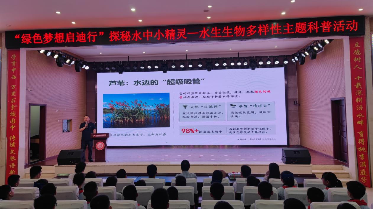 图片6