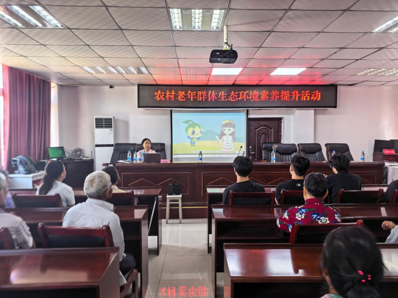 图片6