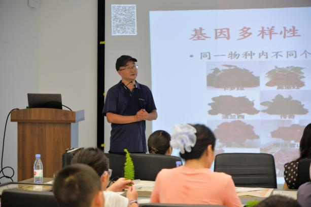 图片6