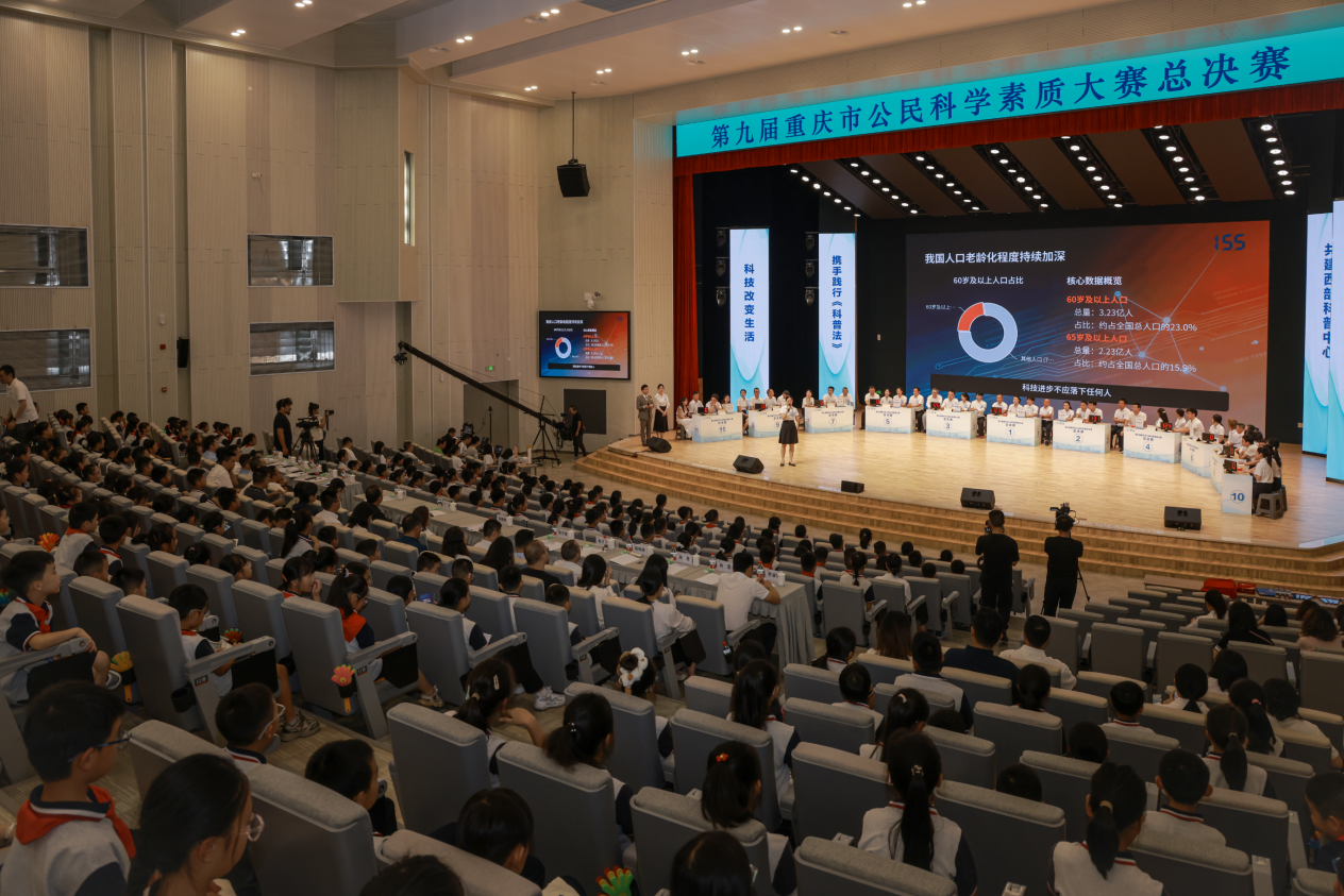 图片4