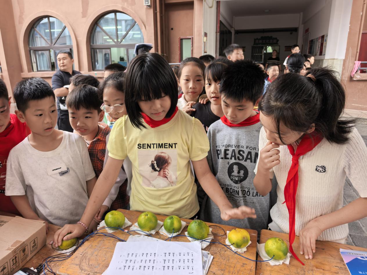 图片1