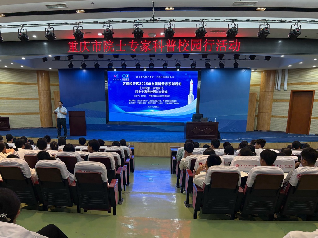 图片3