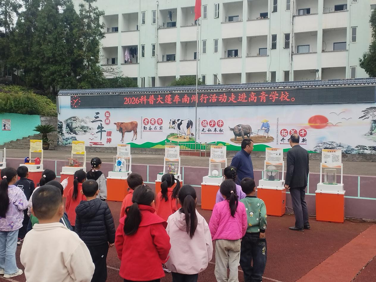 图片1