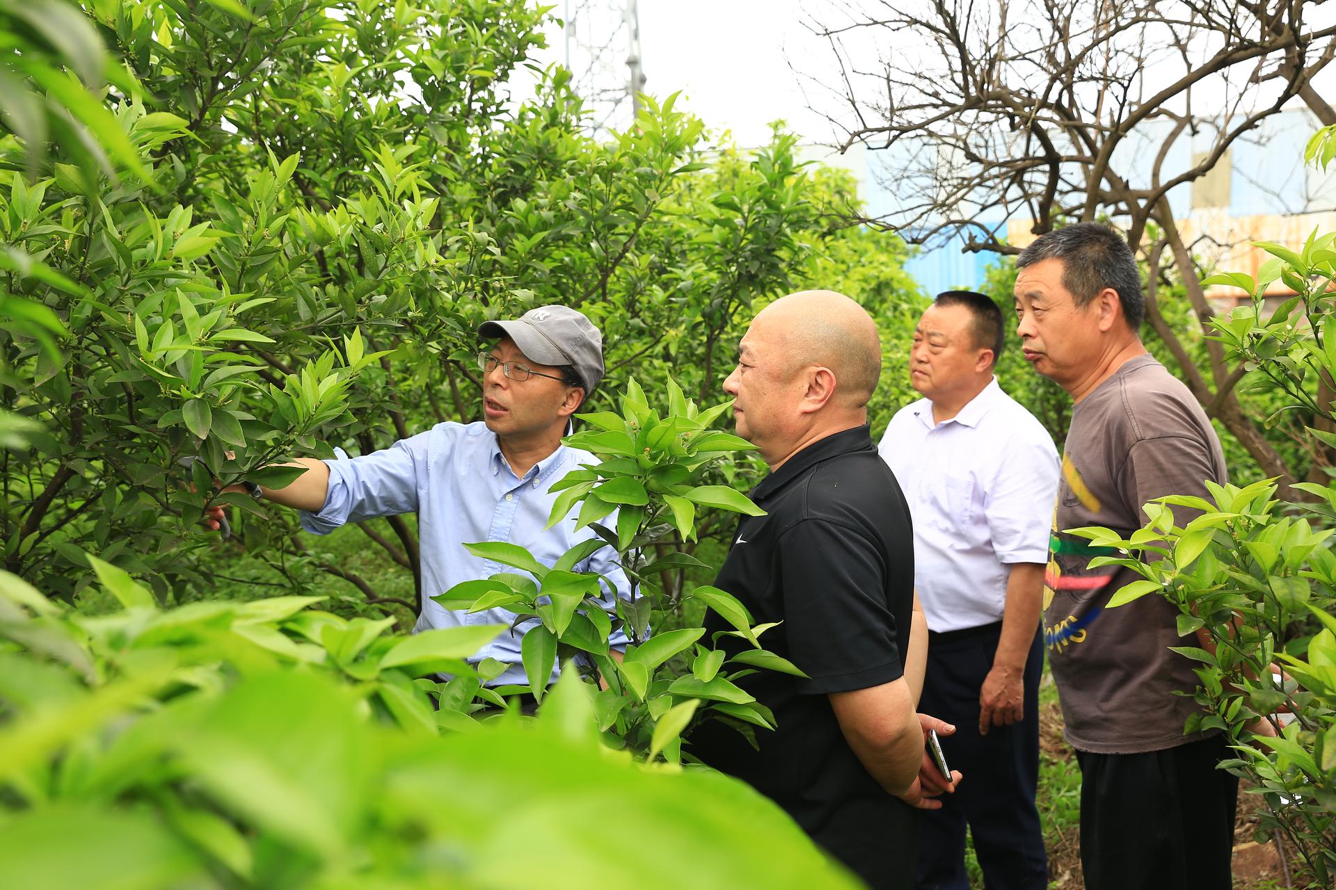 微信图片_20260417084840_2161_249