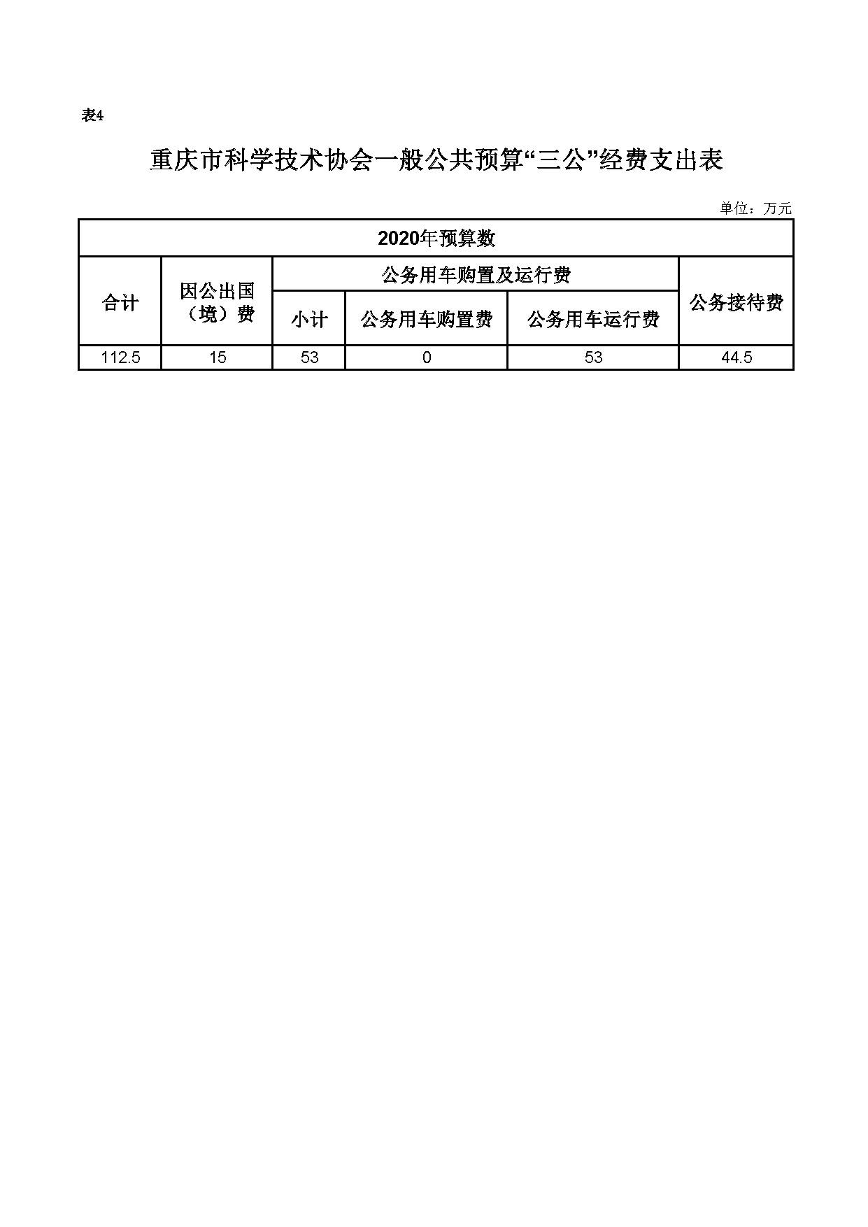 重庆市科学技术协会2020年预算公开表格_页面_4