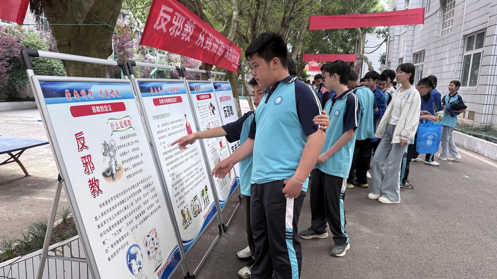 图片3