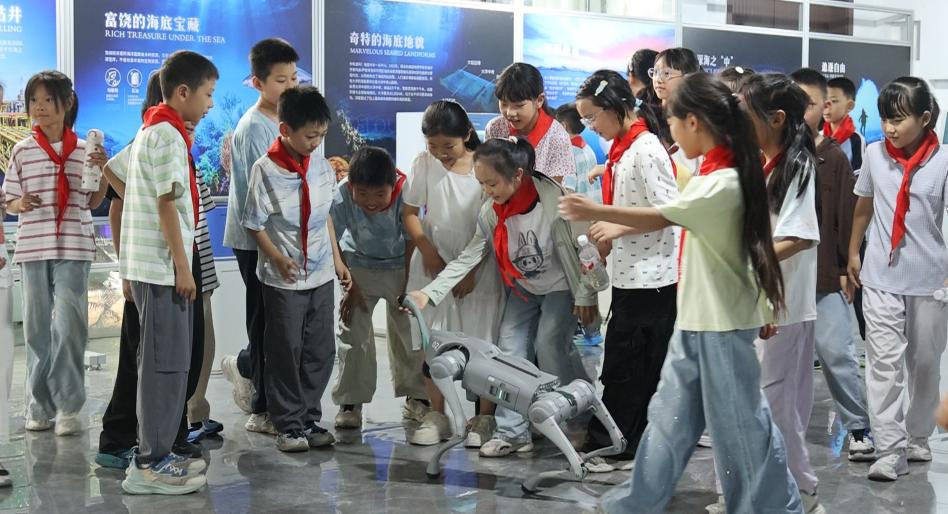 图片1