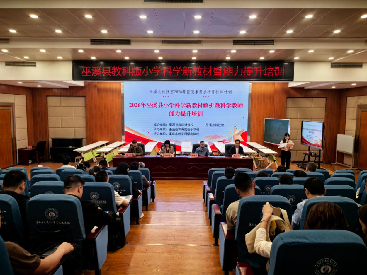 图片4
