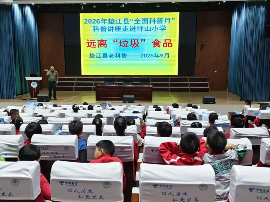 图片4