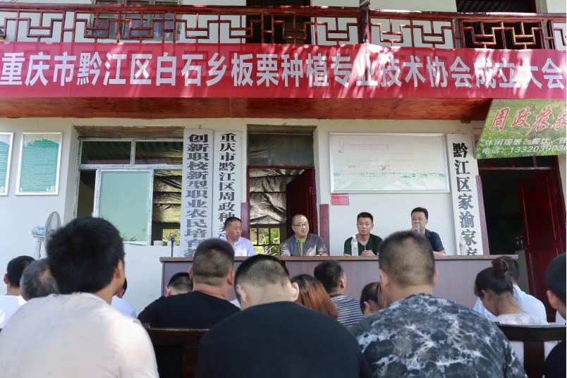 7月18日,黔江区白石板栗种植技术协会建设大会在黔江区白石乡中河村