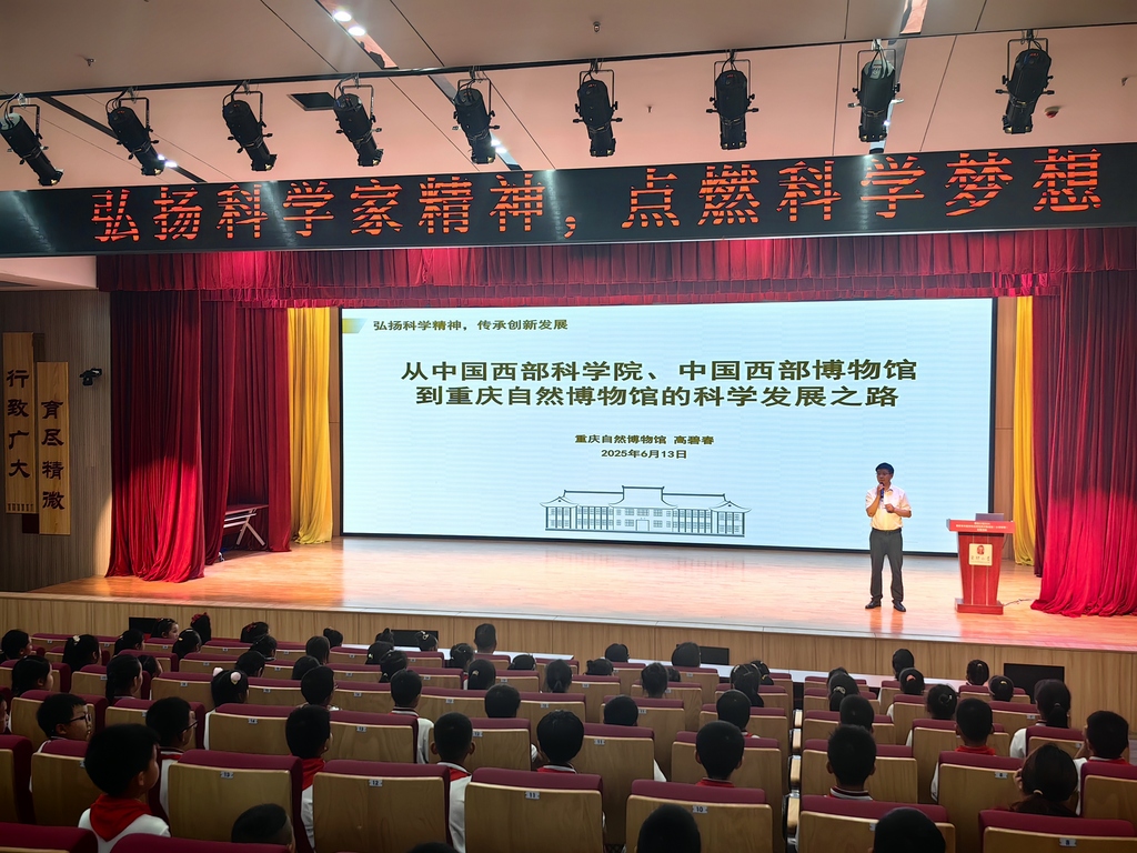 微信图片_20250616093345
