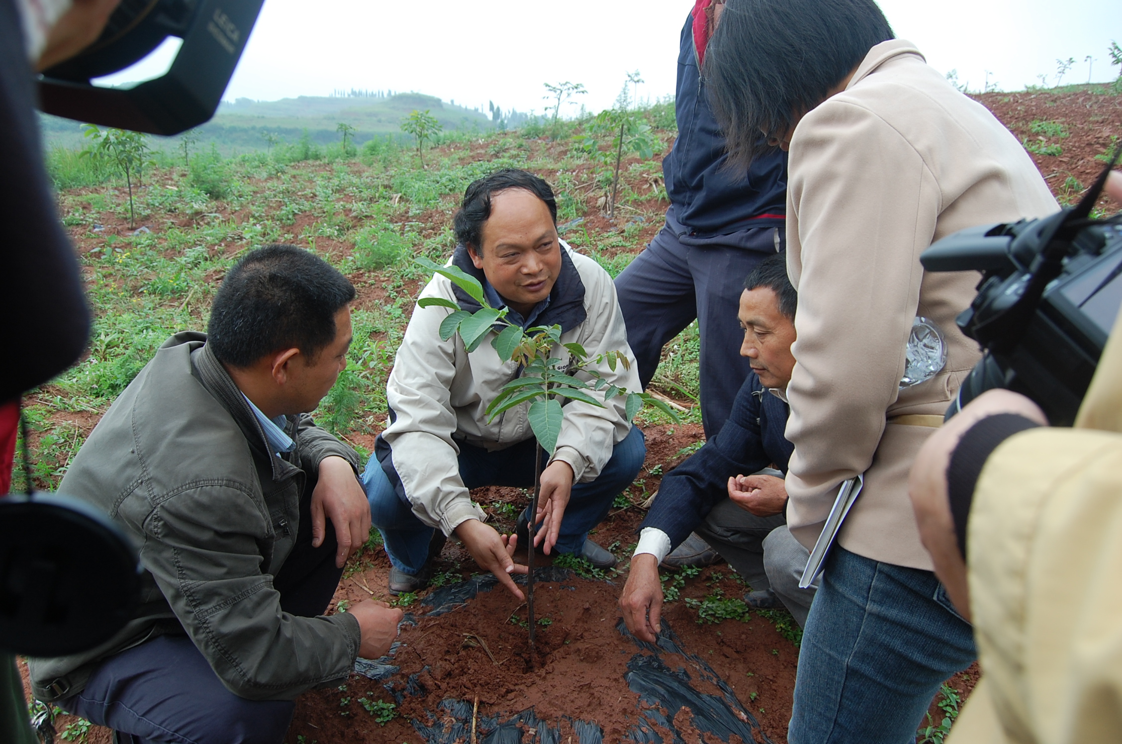荣昌区林学会理事长吕玉奎获"全国林草系统最美科技推广员"称号