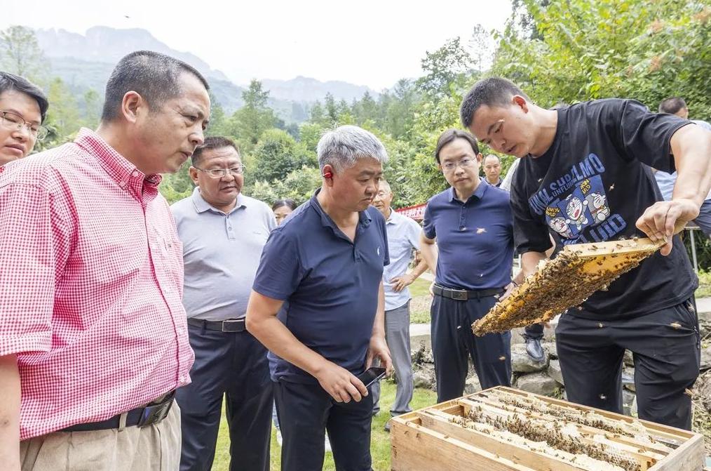 交流会上,南川区养蜂协会会长唐洪分享了自己养蜂致富的故事,向专家